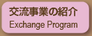 交流事業の紹介 Exchange Program