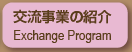 交流项目介绍交流计划