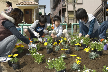 Walk path of flowers