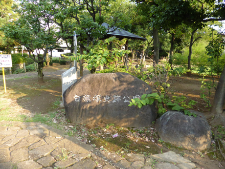 シラハタヅカシセキコウエン