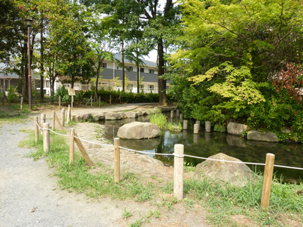 Hakkason-Otoshi-Shinsui-Ryokudo