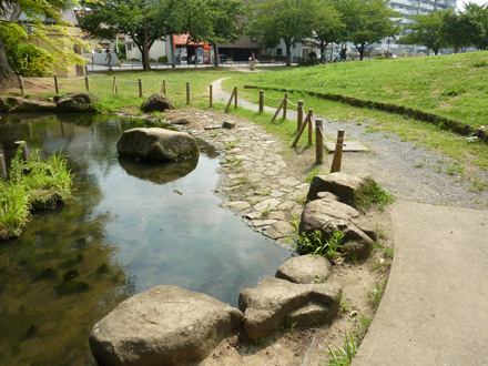 Hakkason-Otoshi-Shinsui-Ryokudo