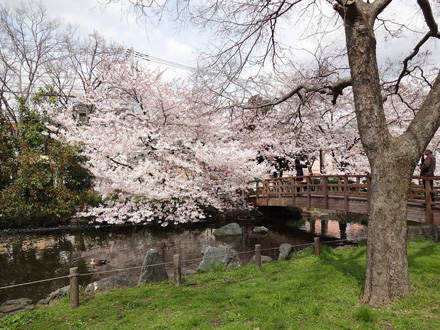 Toritsu-Higashi-Ayase-Koen