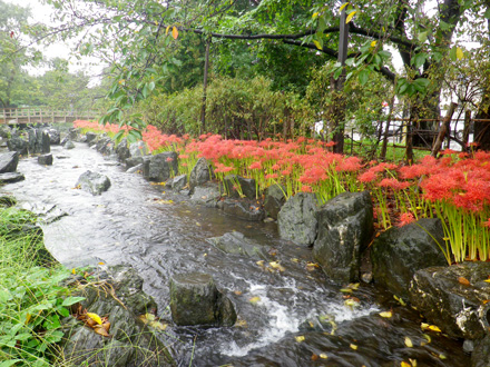 Toritsu-Higashi-Ayase-Koen