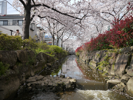 Kasai-Yosui-Shinsui-Suiro