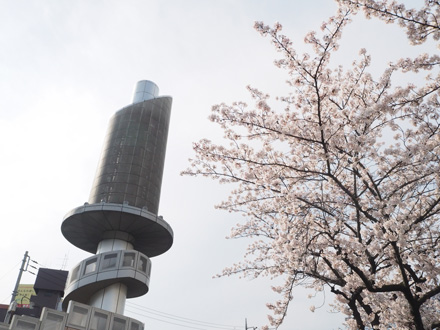 화재 요오드 스위 싱 휙휙로