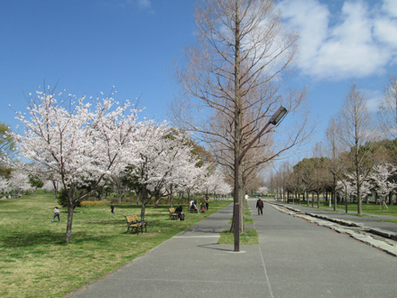 Toritsu-Toneri-Koen