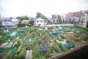 西方新井大師展