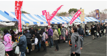 舎人公園 천 벚꽃 축제