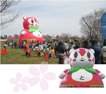 舎人公園 천 벚꽃 축제