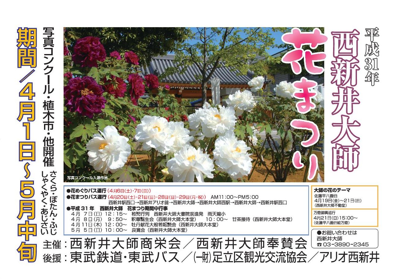 第30届节日节