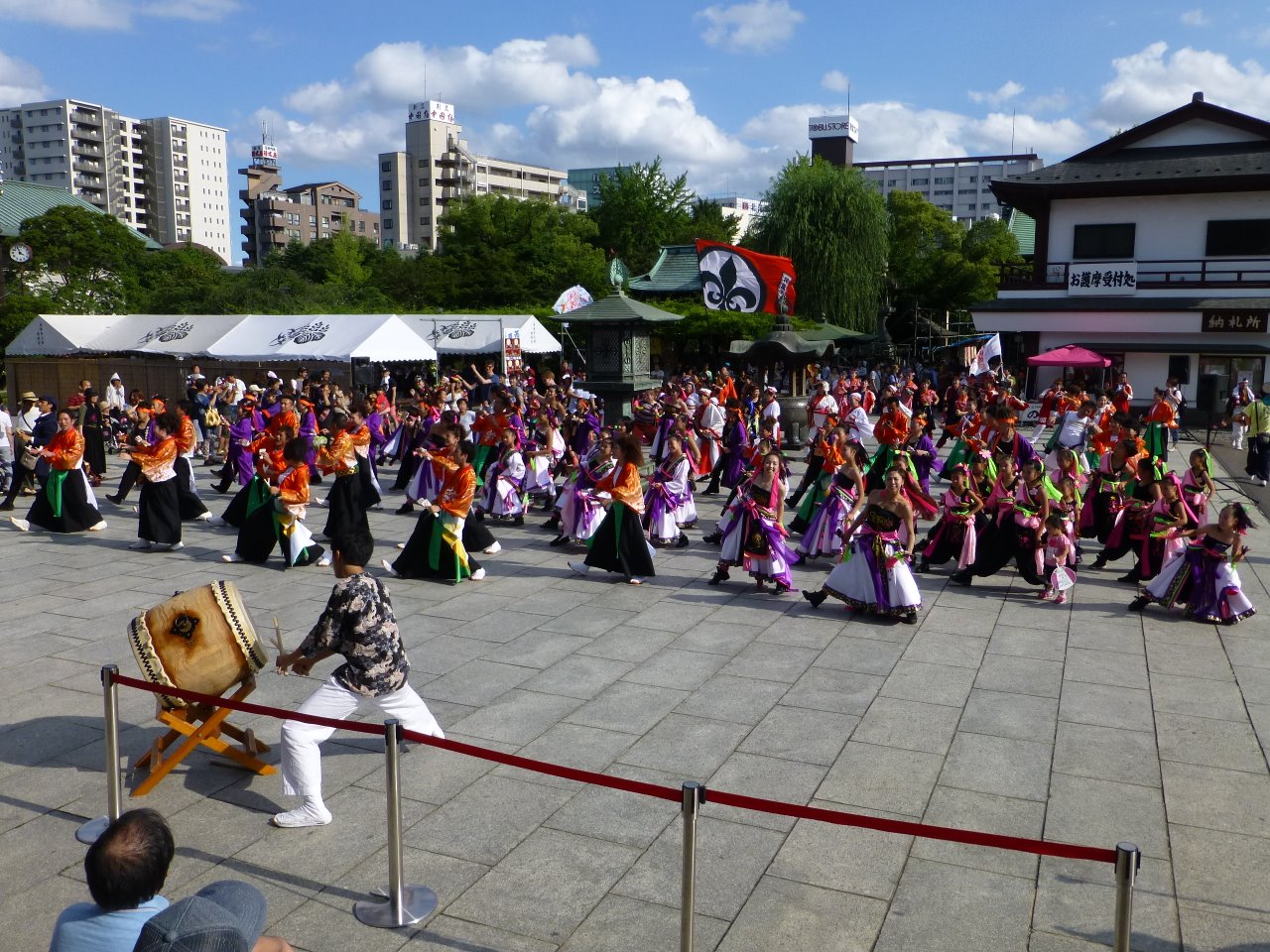 요사 코이 축제 레이 우리 거군요