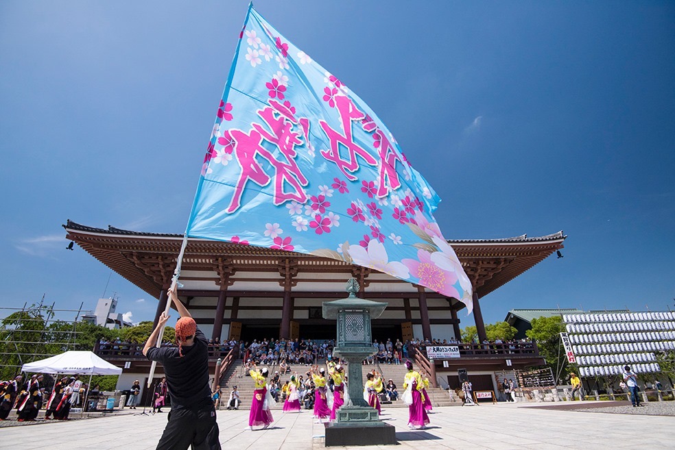 요사 코이 축제 레이 우리 거군요