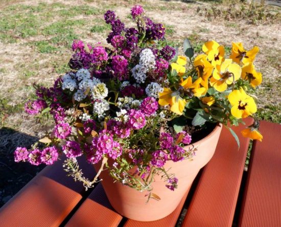 Group planting