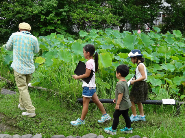 持續播放Yatai Hasudatanken