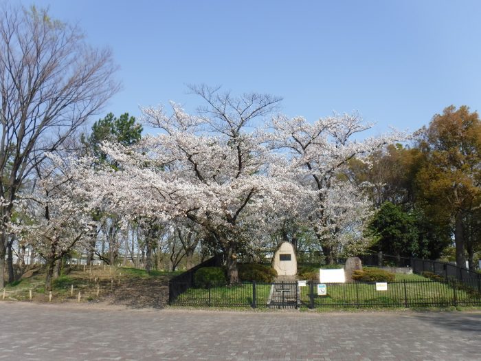 春のおすすめ 桜ウォーキングコース 舎人公園 都市農業公園 あだち観光ネット