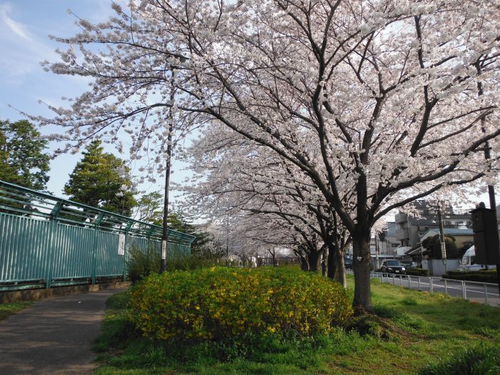 皿沼公園