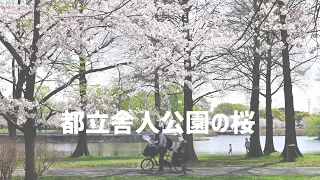 舎人公園