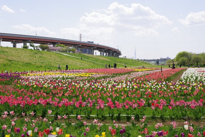 而農業園區