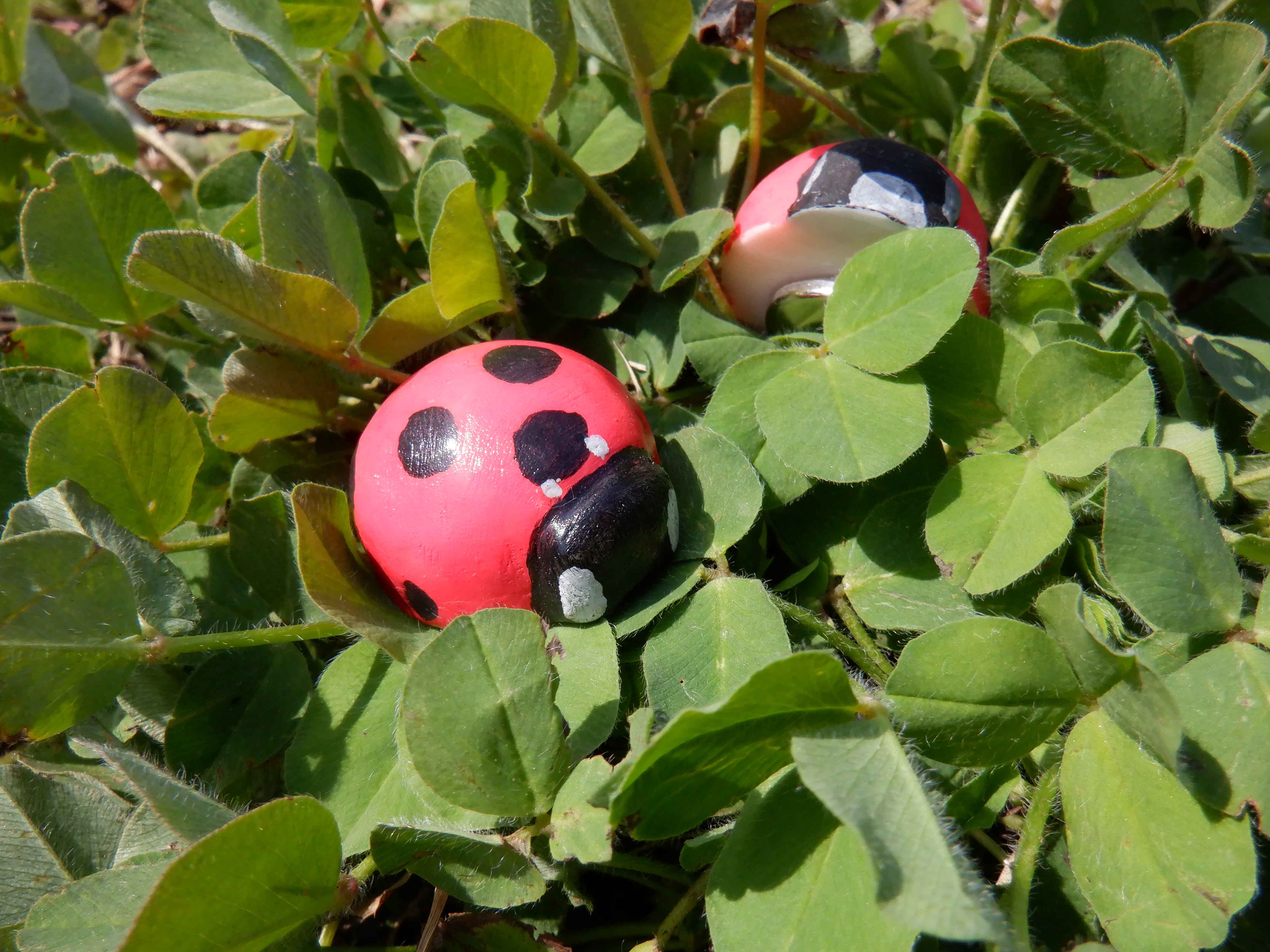 Making a Magnet of Ladybug