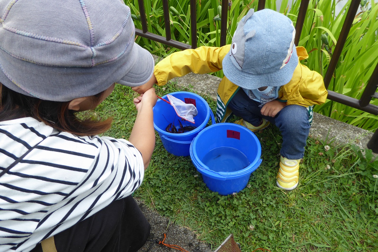 Touch it with your family! Water creatures