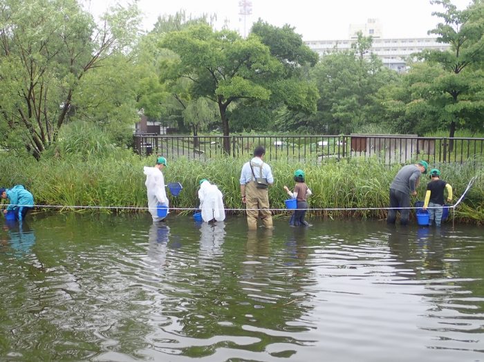 它是魷魚的東西