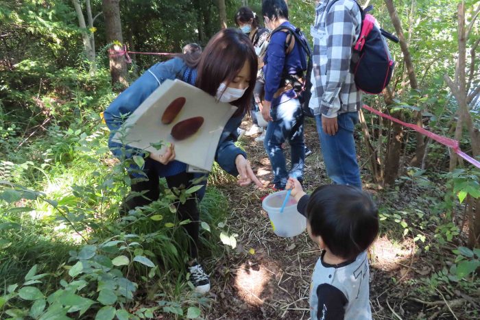 Play with your family Acorn Chibikko Zentaiken