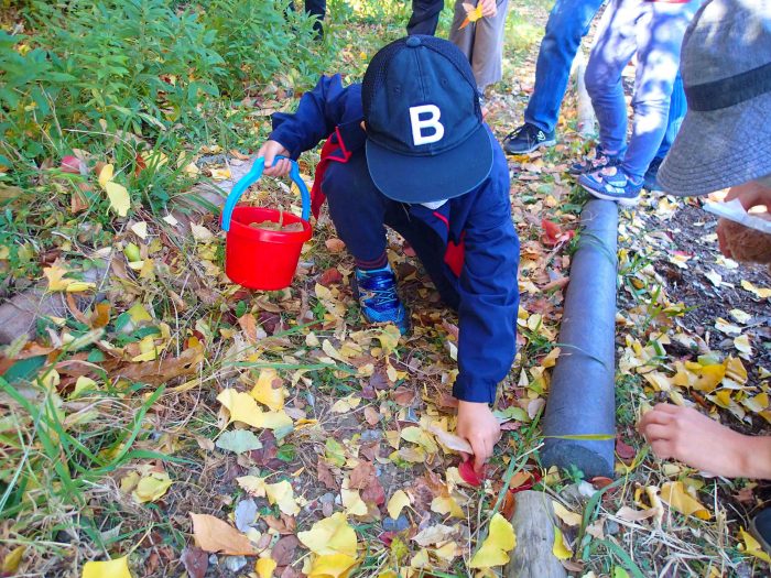 Play with family fallen leaves kids nature experience