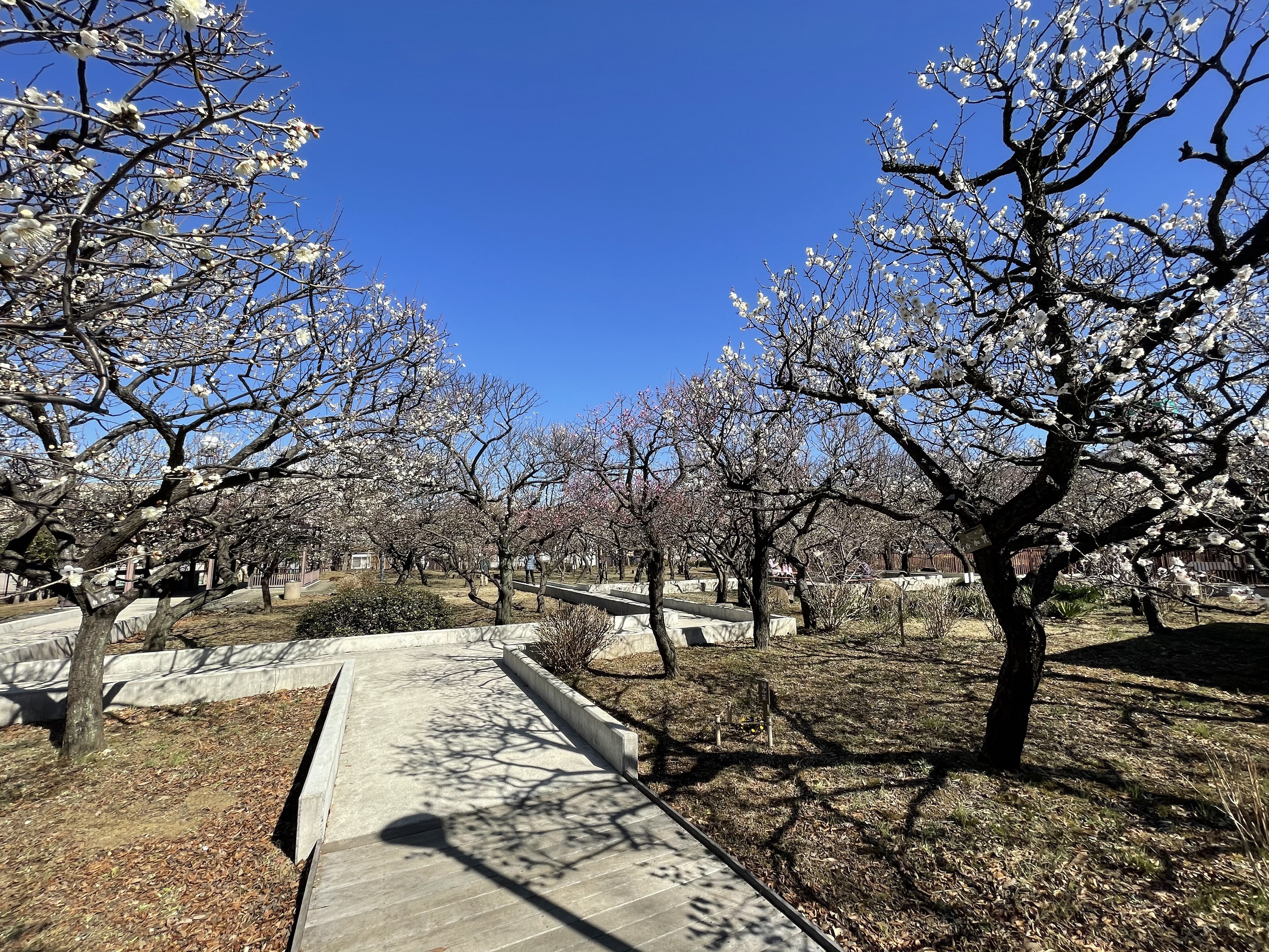 大谷田公園 ／BBQ／バーベキューレンタル／配達／東京／足立区