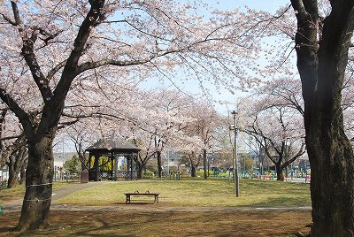 Kita-Shikahama Koen (Kotsu Koen)