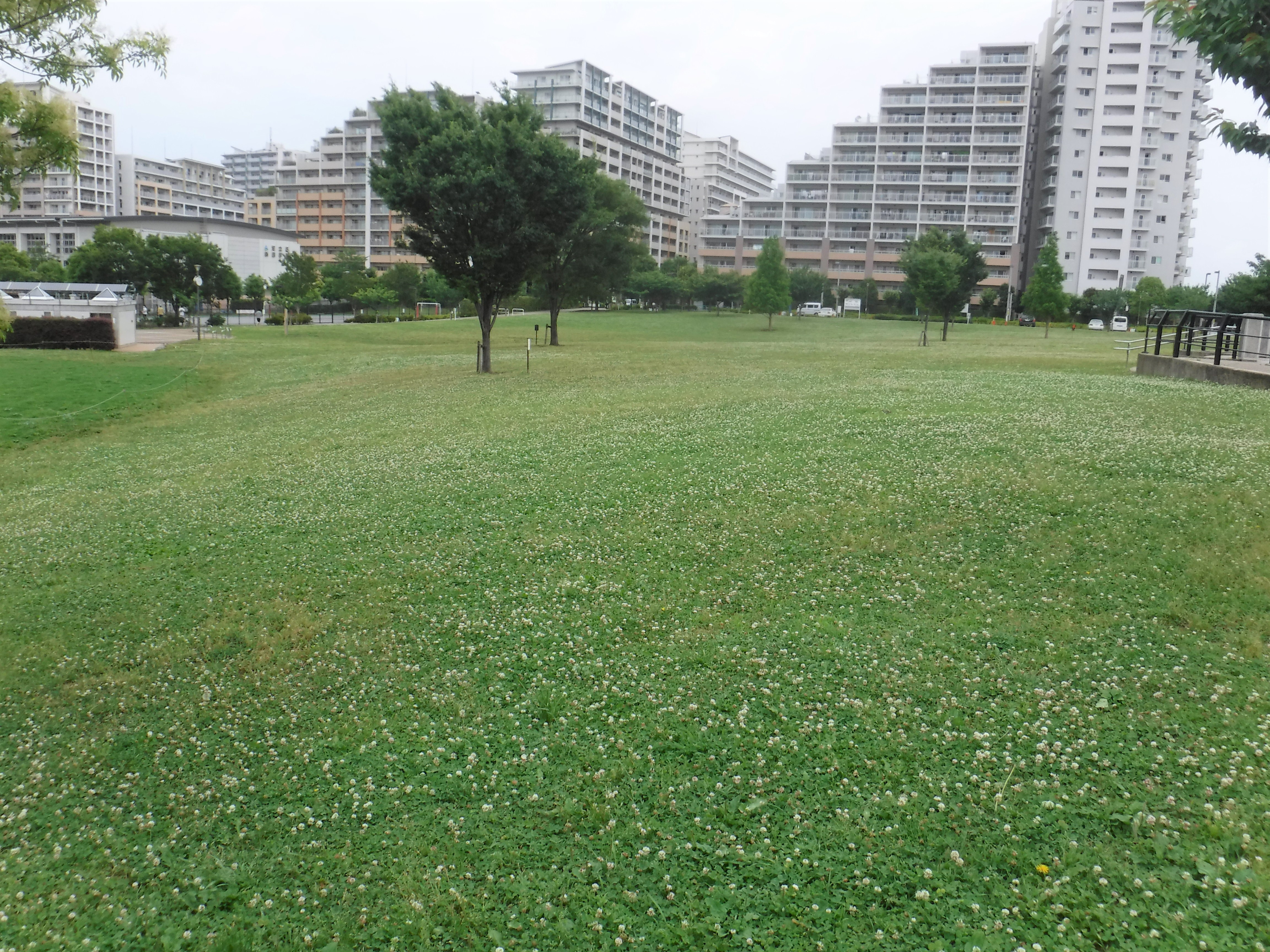 Shinden Sakura Koen