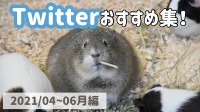 生物園Twitterからのおすすめ集