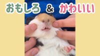 飼育員さん撮影の名場面集！