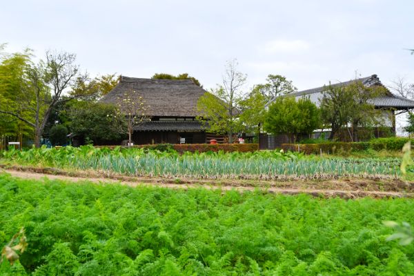 레스트 하우스 주방