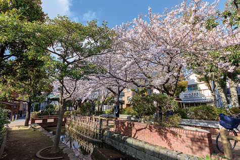 五反野親水緑道