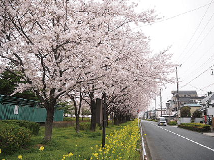 江北北部緑道公園