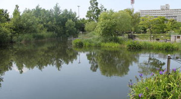 Kuwabukuro Biotope Park