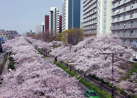 葛西水亲水水道