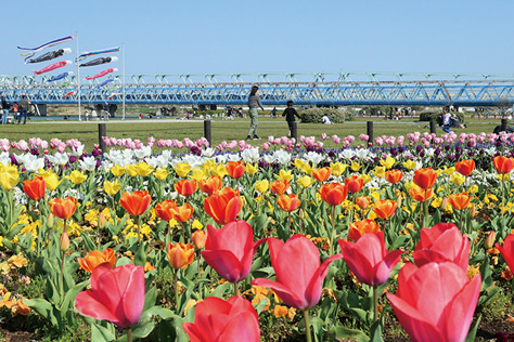 Rainbow Plaza (Arakawa Riverbed)