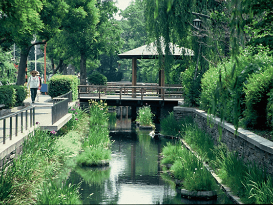 見沼代親水公園1