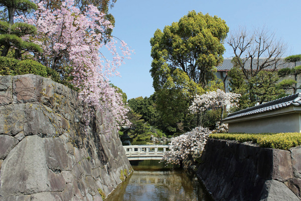 花畑記念庭園・桜花亭花畑公園1