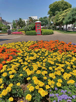 ベルモント公園