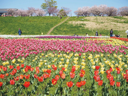 都市農業公園1