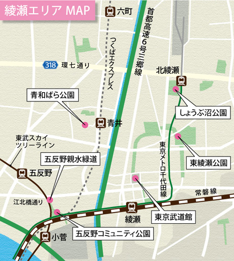 綾瀬エリア MAP