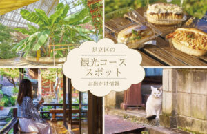 あだちを楽しむ fun to Adachi 50857