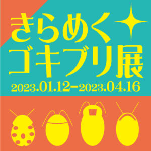 おすすめイベント osusume event 55506