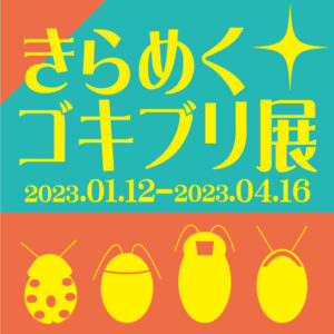 アイキャッチ画像-55506