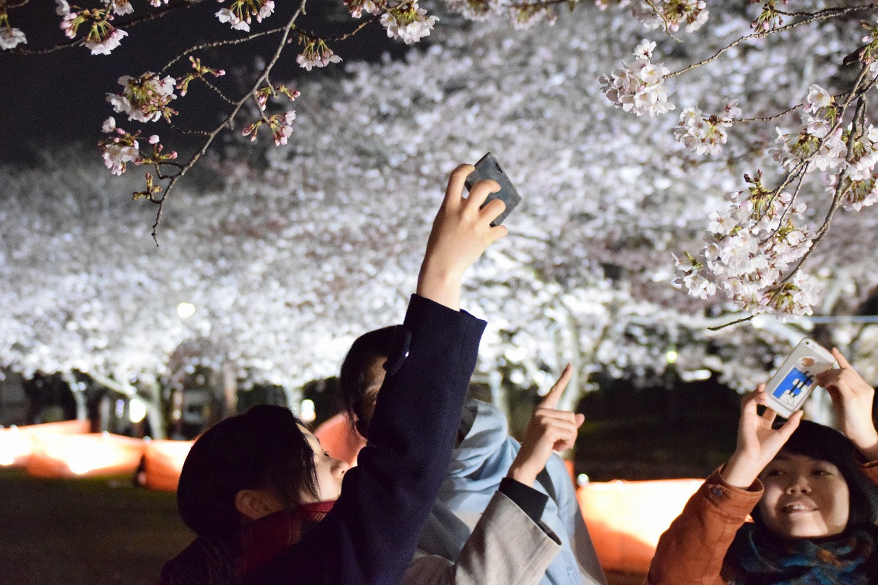 真作】掛軸 吉田竹園 秋景山水 月夜に染まる静寂 幽玄の月光 合箱