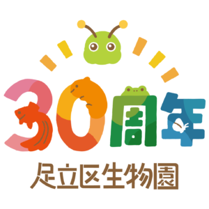 アイキャッチ画像-61264