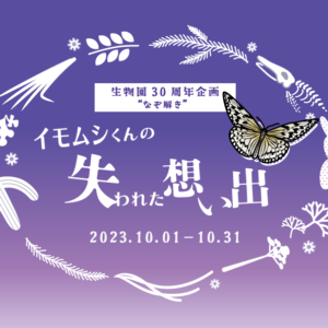 アイキャッチ画像-61317